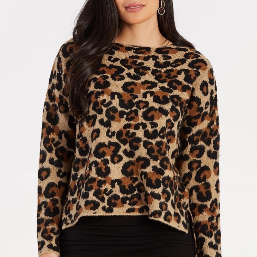 Jamison Leopard Print Sweater - image 1